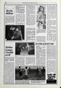Desmond Bagley Icelandic media article from Morgunbladid 11th May 1975.