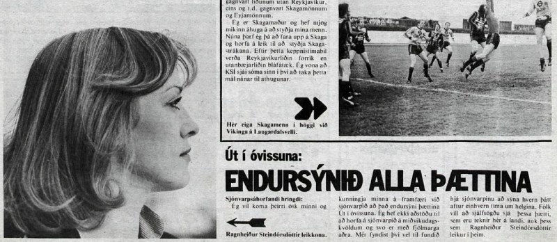 Desmond Bagley Running Blind Icelandic media article from Dagbladid 26th January 1980.
