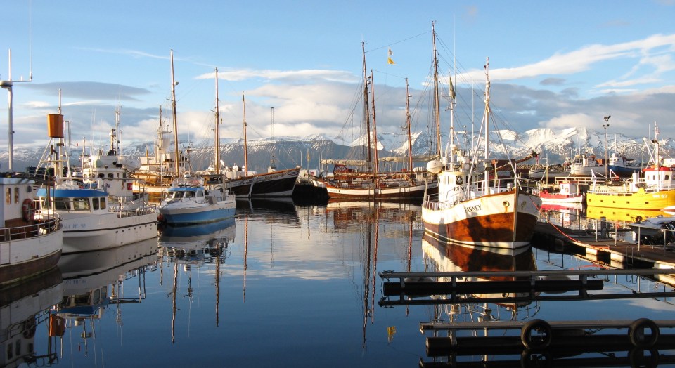 Desmond Bagley Running Blind Husavik