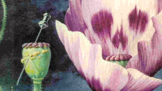 Desmond Bagley - The Spoilers - 1969 - Cover artist: Norman Weaver © HarperCollins Publishers.