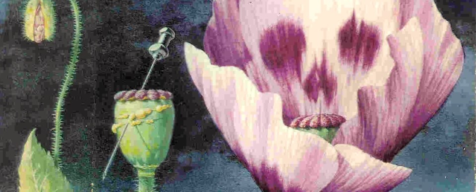 Desmond Bagley - The Spoilers - 1969 - Cover artist: Norman Weaver © HarperCollins Publishers.