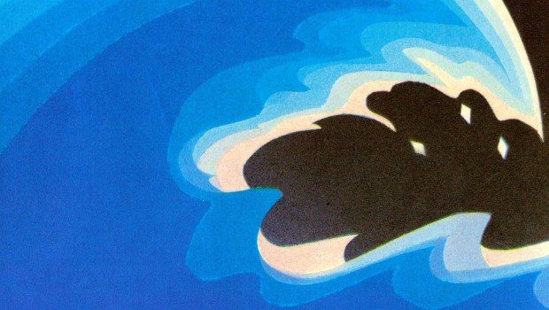 Desmond Bagley - Night of Error - 1984 - Cover artist: Donald McPherson © HarperCollins Publishers.